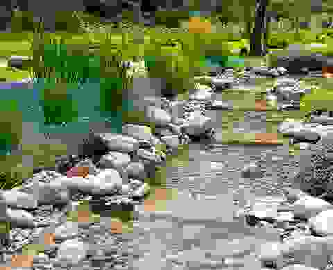 content-2